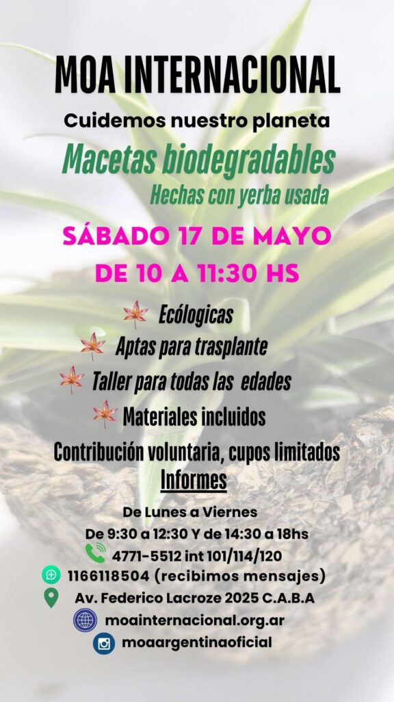 Macetas biodegradables
